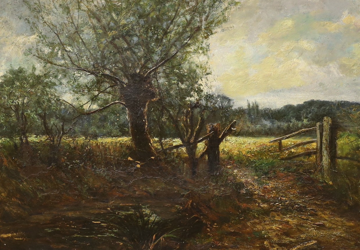 English School, early 20th century, oil on canvas, woodland scene, in gilt frame, 30 x 41cm